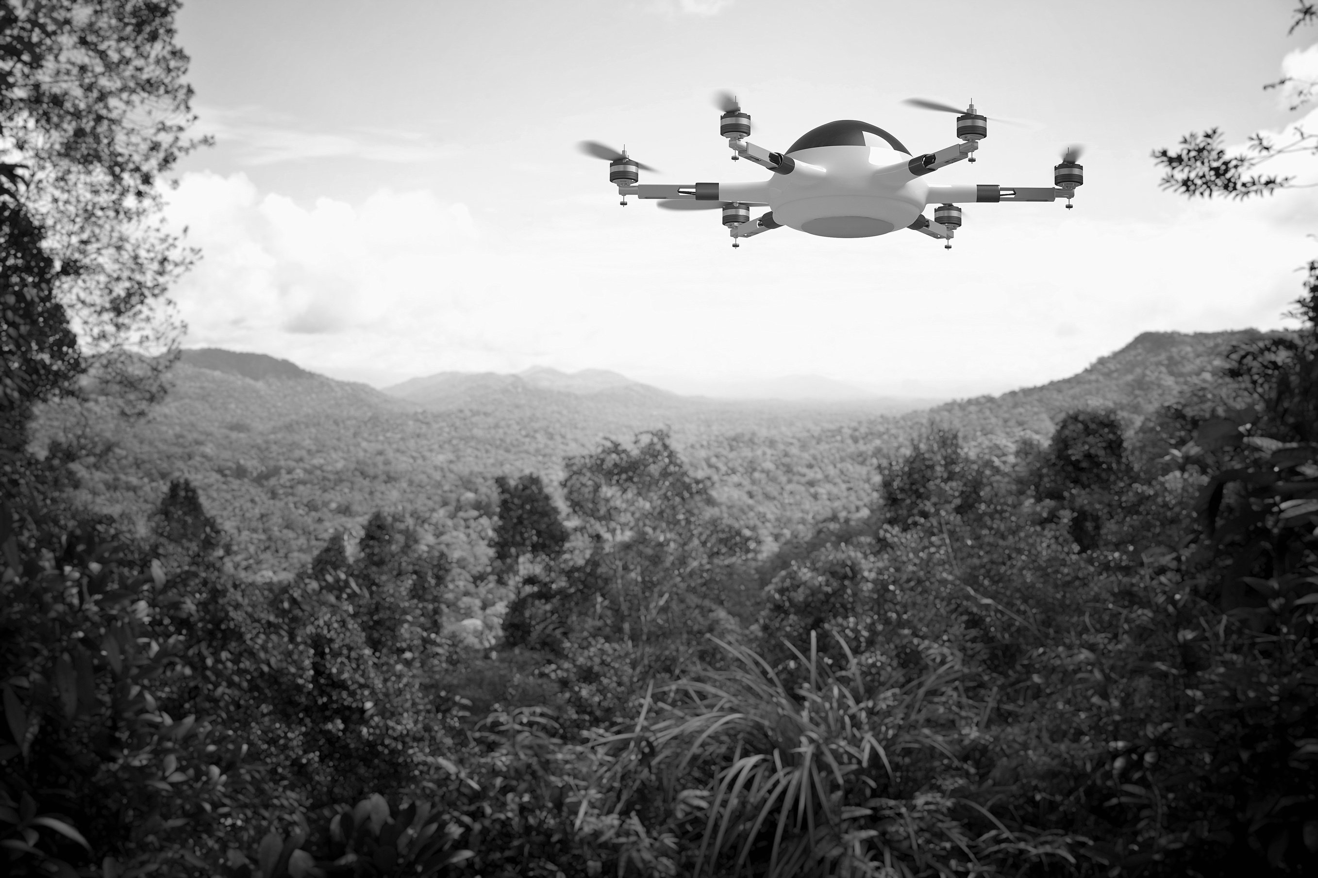 dronestock12